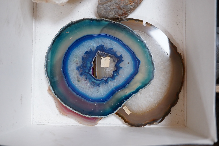 A collection of geological mineral specimens and fossils, including large quartz specimens, prepared cross-sections, fossilised tree sample, crystal formations, etc.